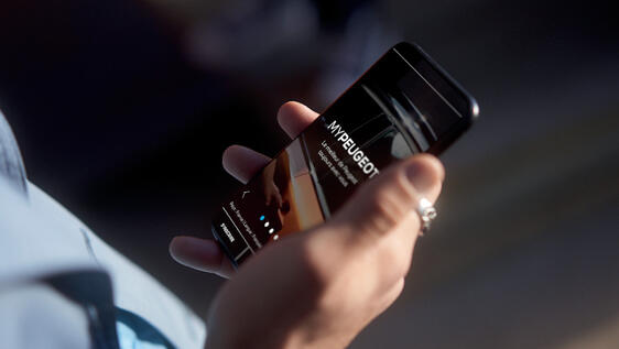 Trips in the Cloud Trips in the Cloud